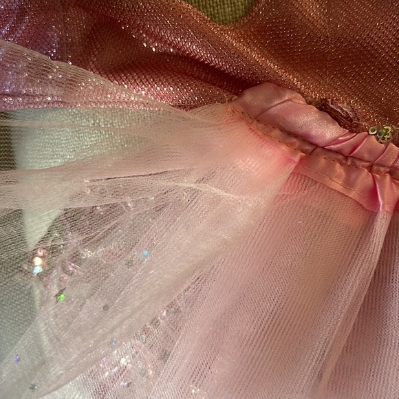 Princess Tiara Designer Dog Dress - Picture 6 of 6